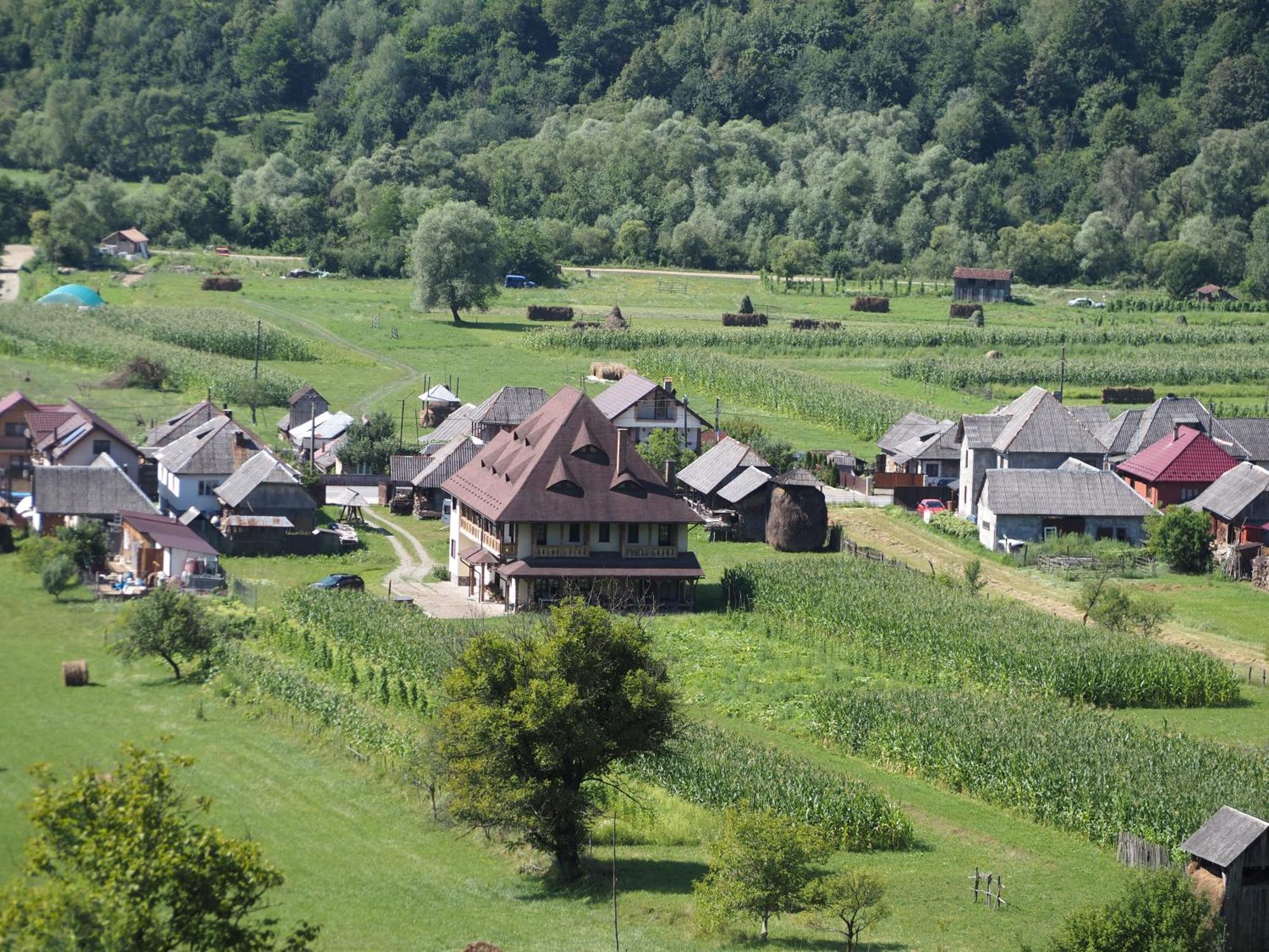 Villa Pensiunea Sanziene à Strîmtura Extérieur photo