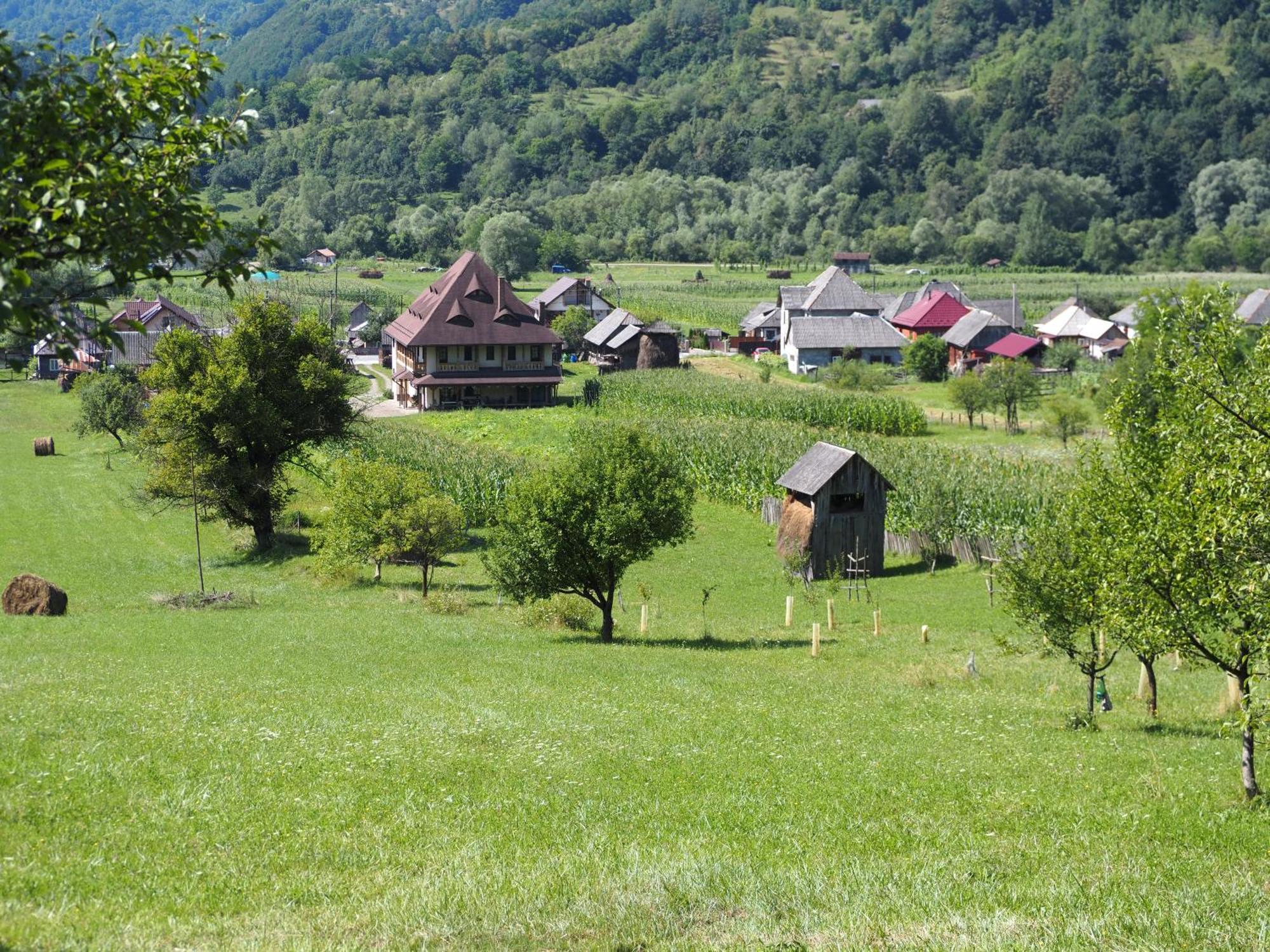 Pensiunea Sanziene Strîmtura Extérieur photo