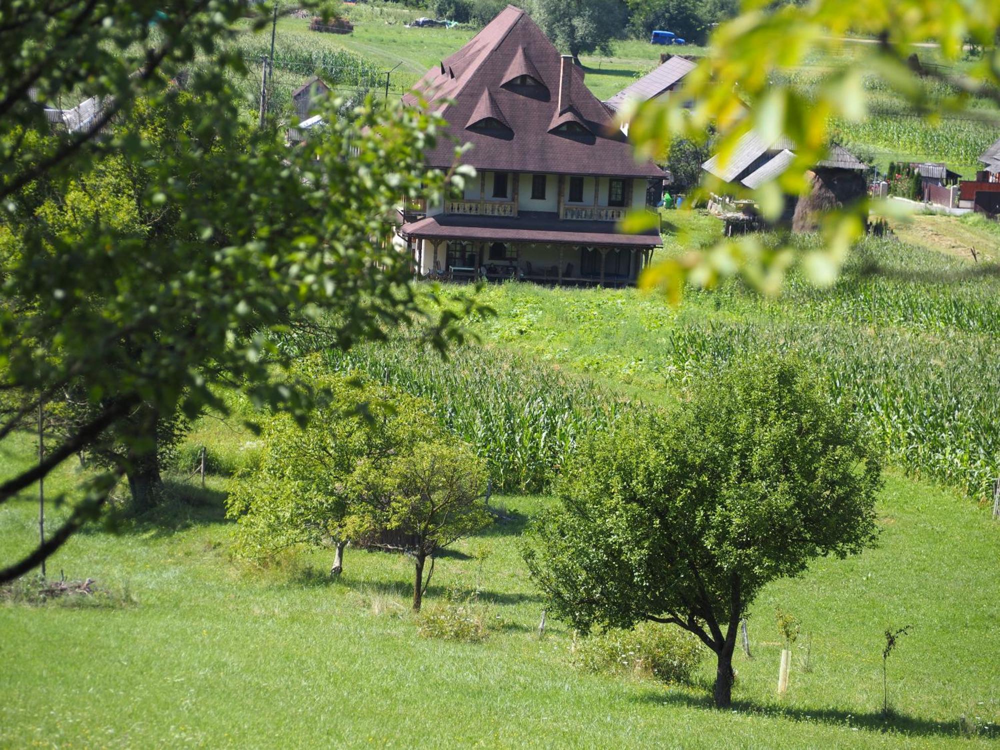 Pensiunea Sanziene Strîmtura Extérieur photo