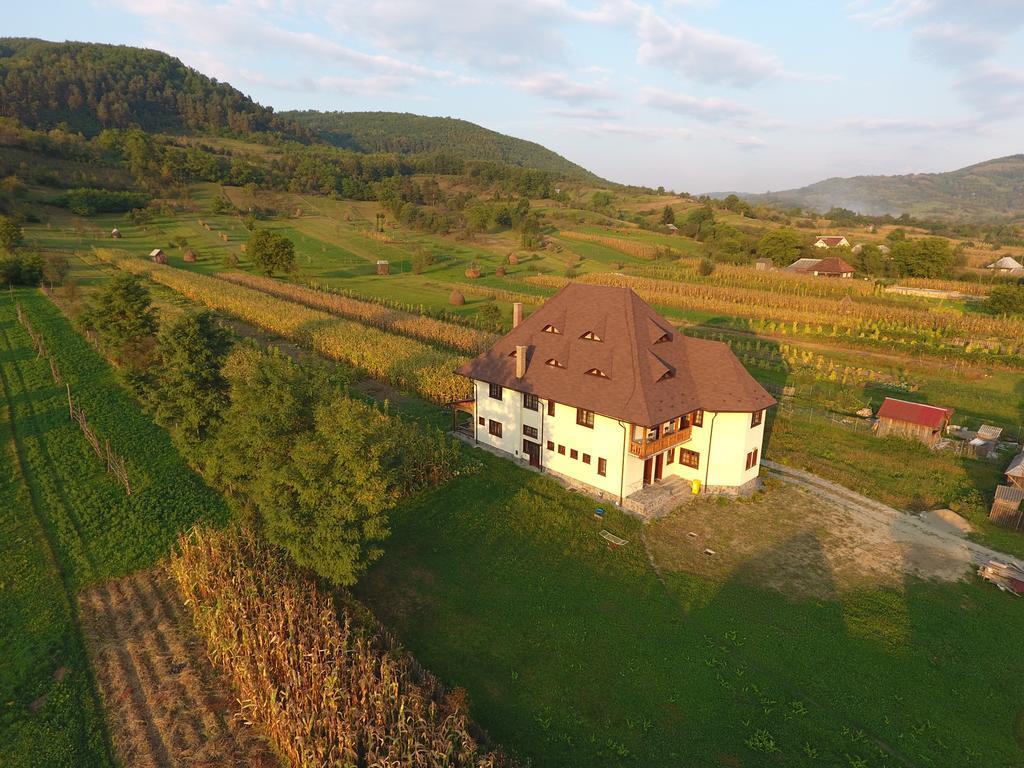 Villa Pensiunea Sanziene à Strîmtura Extérieur photo